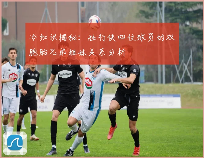 冷知识揭秘：独行侠四位球员的双胞胎兄弟姐妹关系分析