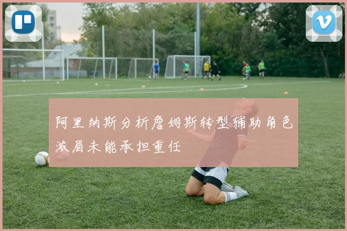 阿里纳斯分析詹姆斯转型辅助角色浓眉未能承担重任