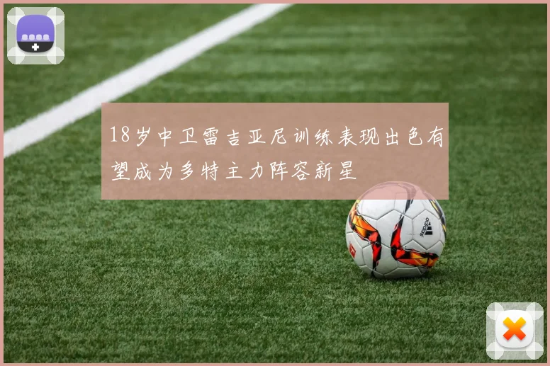18岁中卫雷吉亚尼训练表现出色有望成为多特主力阵容新星